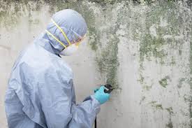 Best Asbestos and Lead Testing During Mold Inspection in USA